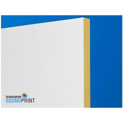 Ecophon Wall Panel